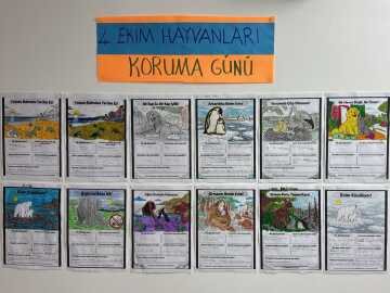 Hayvanları Koruma Günü