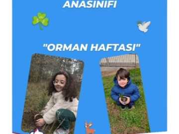 Anasınıfı "Orman Haftası" Etkinliği