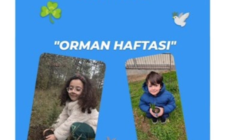 Anasınıfı "Orman Haftası" Etkinliği