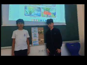 Çevre Bilinci Sunumu