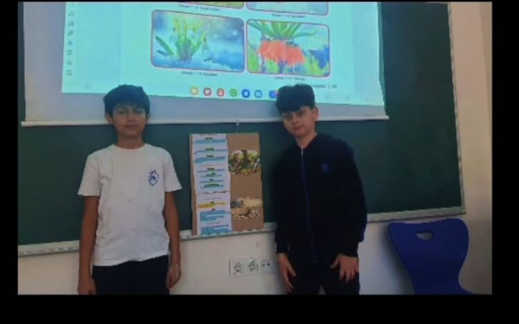 Çevre Bilinci Sunumu