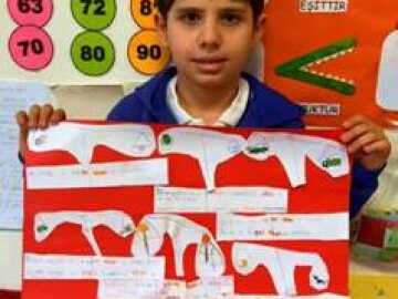 Comparatıves Etkinliği