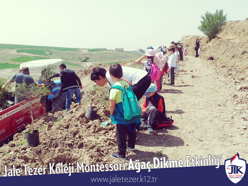 Jale Tezer Koleji Montessori Ağaç Dikme Etkinliği 10