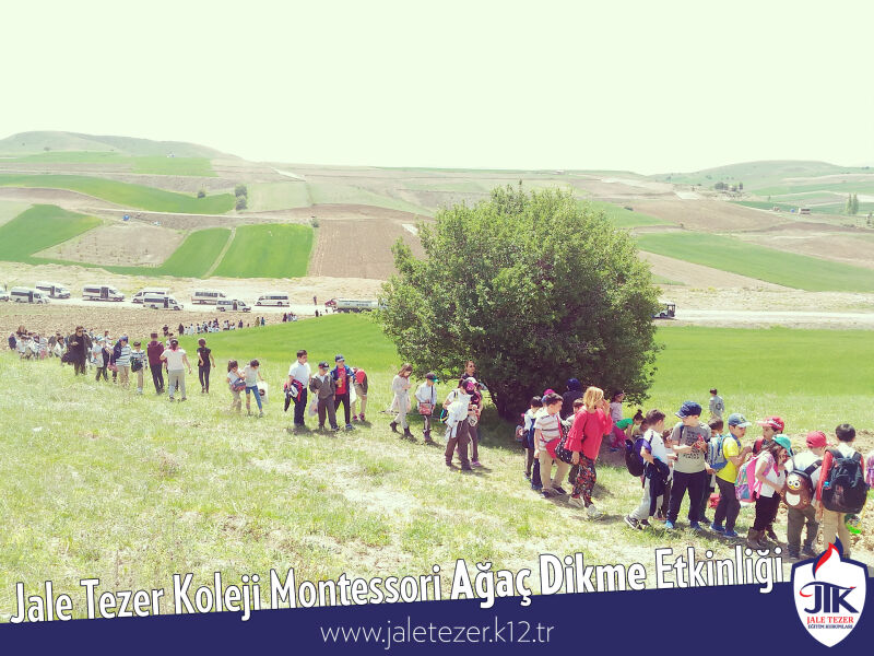 Jale Tezer Koleji Montessori Ağaç Dikme Etkinliği 4