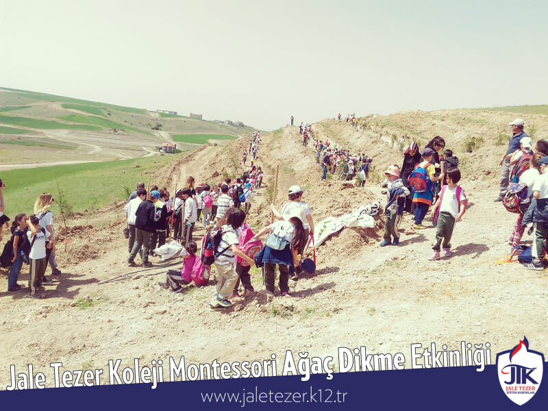 Jale Tezer Koleji Montessori Ağaç Dikme Etkinliği 5