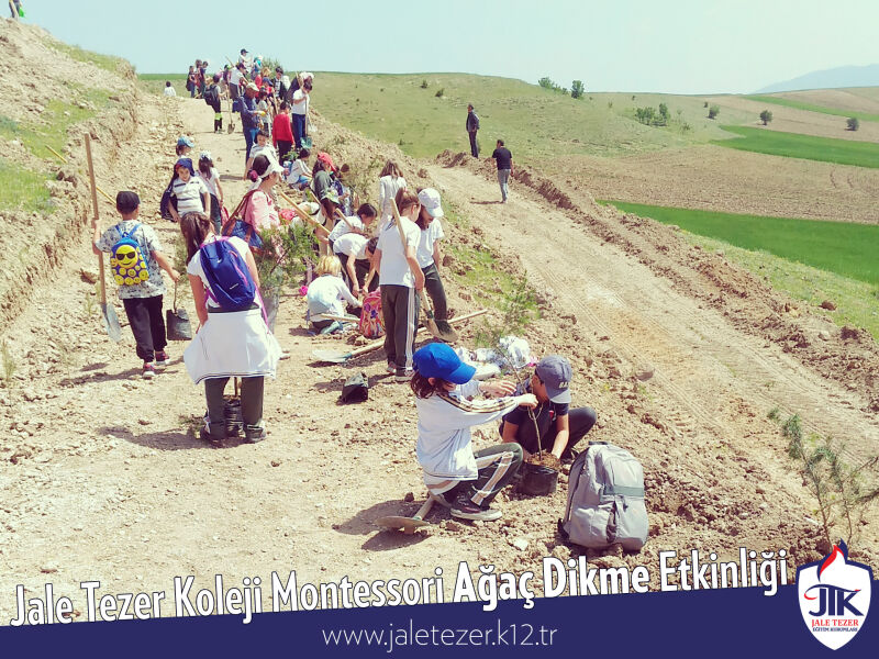 Jale Tezer Koleji Montessori Ağaç Dikme Etkinliği 9