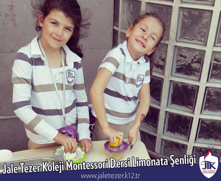 Jale Tezer Koleji Montessori Dersi Limonata Şenliği 6