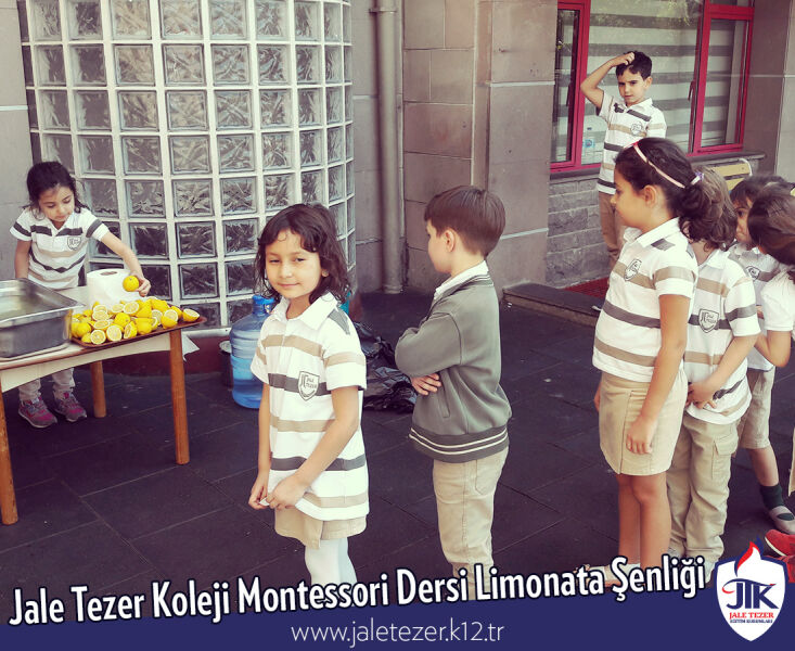 Jale Tezer Koleji Montessori Dersi Limonata Şenliği 9