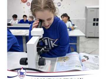 Laboratuvar Etkinliği