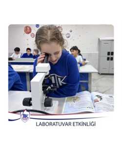 Laboratuvar Etkinliği