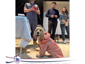 Sessiz Dostlarımızın Dili