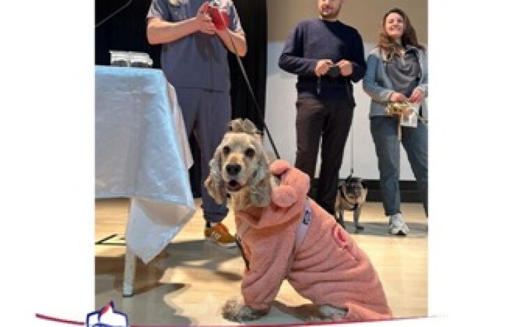 Sessiz Dostlarımızın Dili