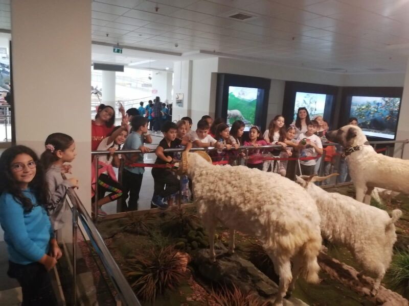 MTA Tabiat Parkı ve Enerji Parkı Gezisi 2