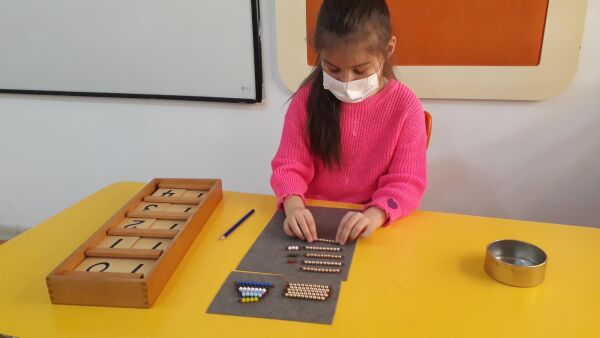 MONTESSORİ MATEMATİK: SEGUİN TABLASI