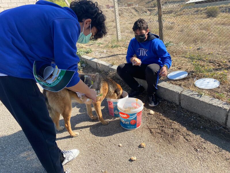 Hayvanları Koruma Günü Etkinlikleri 2