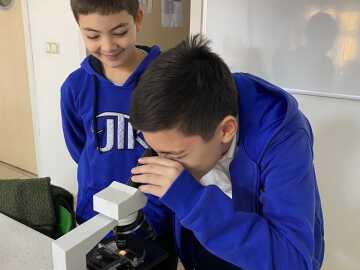 Mikroskop Çalışması