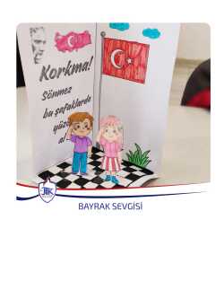Bayrak Sevgisi