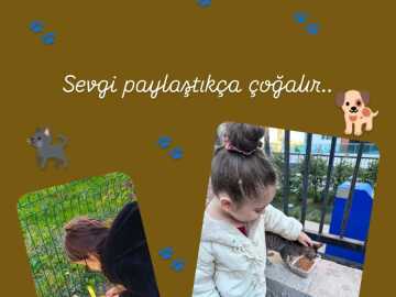 Anasınıfı Hayvanları Koruma Günü