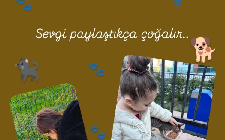 Anasınıfı Hayvanları Koruma Günü