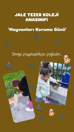 Anasınıfı Hayvanları Koruma Günü
