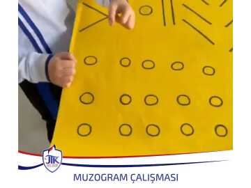 Muzogram Çalışması