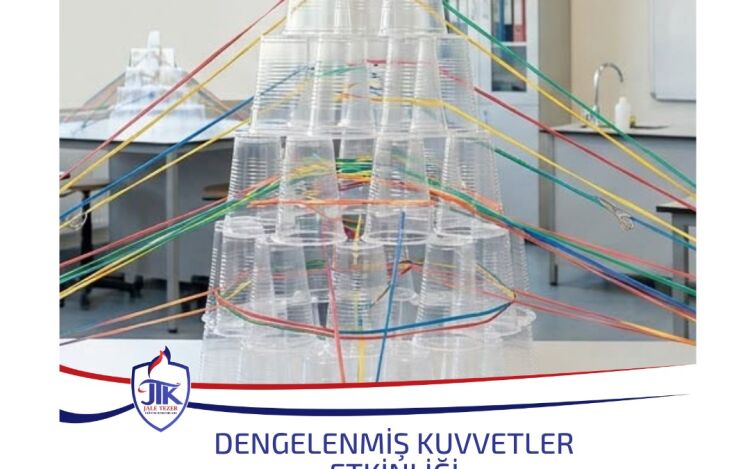 Dengelenmiş Kuvvetler Etkinliği