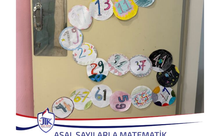Asal Sayılarla Matematik Yolculuğu
